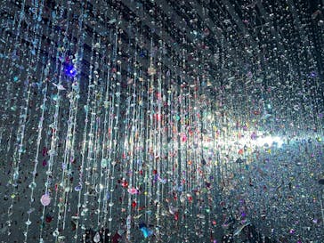 蜷川実花展 with EiM：彼岸の光、此岸の影 NINAGAWA Mika with EiM：Lights of the beyond, Shadows of this worldに投稿された画像（2025/1/24）