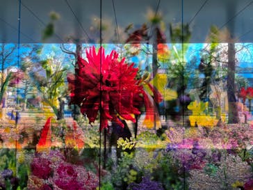 蜷川実花展 with EiM：彼岸の光、此岸の影 NINAGAWA Mika with EiM：Lights of the beyond, Shadows of this worldに投稿された画像（2025/1/24）