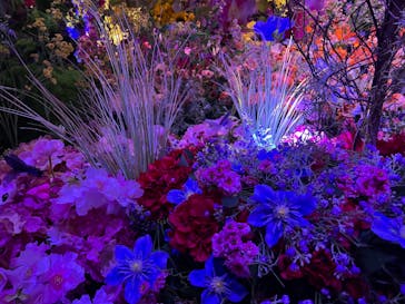 蜷川実花展 with EiM：彼岸の光、此岸の影 NINAGAWA Mika with EiM：Lights of the beyond, Shadows of this worldに投稿された画像（2025/1/24）