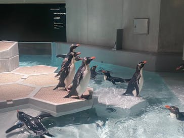 AOAO SAPPOROに投稿された画像（2025/1/24）