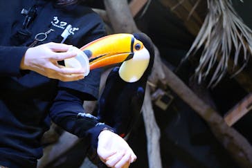 カワスイ 川崎⽔族館に投稿された画像（2025/1/24）