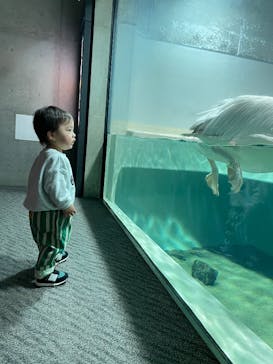 大分マリーンパレス水族館 「うみたまご」に投稿された画像（2025/1/24）