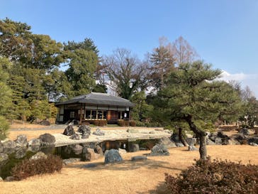 元離宮二条城に投稿された画像（2025/1/24）