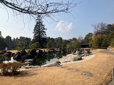 元離宮二条城に投稿された画像（2025/1/24）