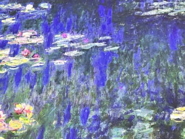 「モネ＆フレンズ・アライブ」神戸展に投稿された画像（2025/1/24）