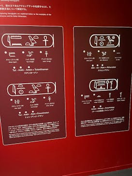 MYSTERY OF TUTANKHAMEN 体感型古代エジプト展に投稿された画像（2025/1/24）