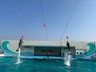 南知多ビーチランド＆南知多おもちゃ王国に投稿された画像（2025/1/24）