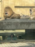 東武動物公園に投稿された画像（2025/1/25）