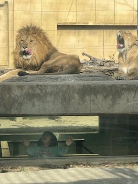 東武動物公園に投稿された画像（2025/1/24）