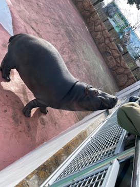 東武動物公園に投稿された画像（2025/1/24）