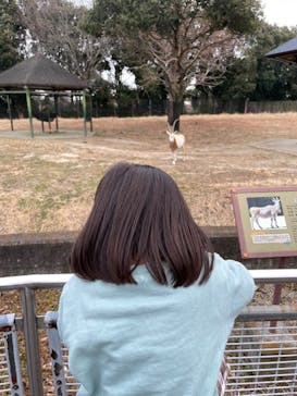 東武動物公園に投稿された画像（2025/1/24）