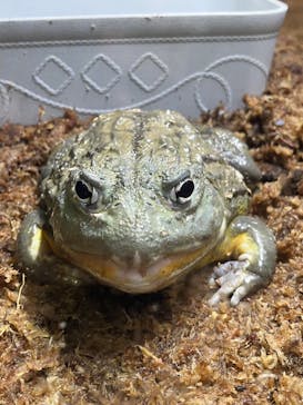 アクアテラス錦ケ丘に投稿された画像（2025/1/24）