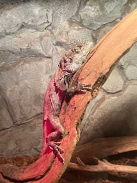 アクアテラス錦ケ丘に投稿された画像（2025/1/24）