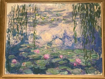 モネ 睡蓮のとき（国立西洋美術館）に投稿された画像（2025/1/25）