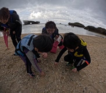 沖縄マリンサービス碧に投稿された画像（2025/1/25）