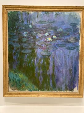 モネ 睡蓮のとき（国立西洋美術館）に投稿された画像（2025/1/25）