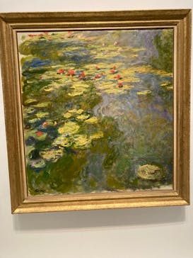 モネ 睡蓮のとき（国立西洋美術館）に投稿された画像（2025/1/25）