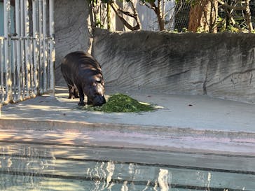 名古屋市東山動植物園に投稿された画像（2025/1/25）