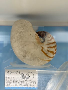 葛西臨海水族園に投稿された画像（2025/1/25）