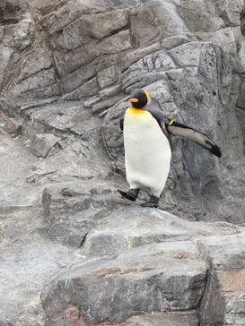 葛西臨海水族園に投稿された画像（2025/1/25）