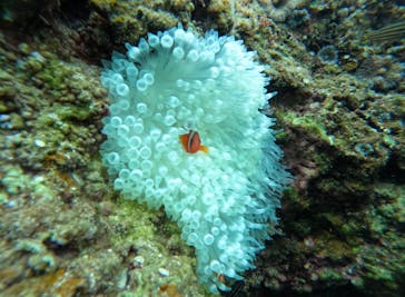 武藤潜水に投稿された画像（2025/1/25）