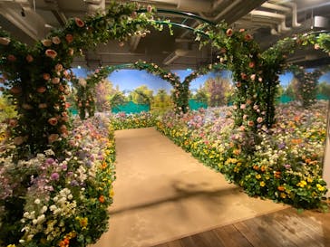 「モネ＆フレンズ・アライブ」神戸展に投稿された画像（2025/1/25）