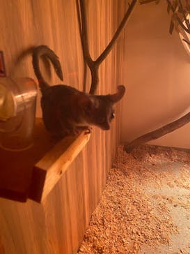 アニタッチ 東京ドームシティに投稿された画像（2025/1/25）