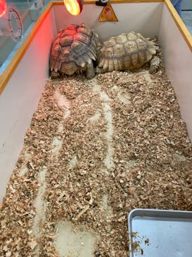 アニタッチ 東京ドームシティに投稿された画像（2025/1/25）