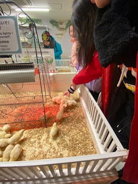 アニタッチ 東京ドームシティに投稿された画像（2025/1/25）