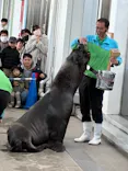 仙台うみの杜水族館に投稿された画像（2025/1/25）