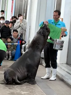 仙台うみの杜水族館に投稿された画像（2025/1/25）