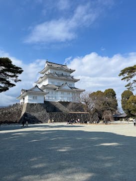 小田原城に投稿された画像（2025/1/25）