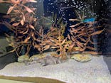 アクアワールド茨城県大洗水族館に投稿された画像（2025/1/25）