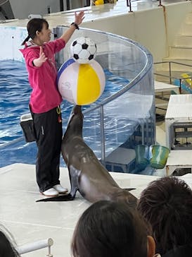 アクアワールド茨城県大洗水族館に投稿された画像（2025/1/25）