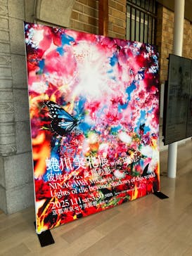 蜷川実花展 with EiM：彼岸の光、此岸の影 NINAGAWA Mika with EiM：Lights of the beyond, Shadows of this worldに投稿された画像（2025/1/25）