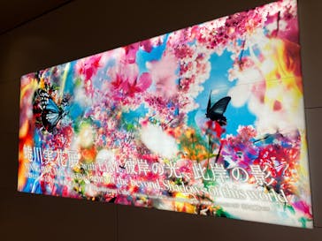 蜷川実花展 with EiM：彼岸の光、此岸の影 NINAGAWA Mika with EiM：Lights of the beyond, Shadows of this worldに投稿された画像（2025/1/25）