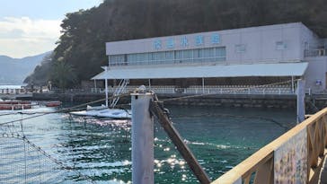 あわしまマリンパークに投稿された画像（2025/1/25）