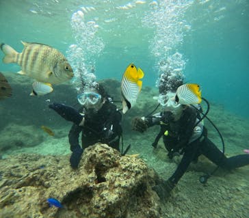 沖縄マリンサービス碧に投稿された画像（2025/1/25）