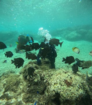 沖縄マリンサービス碧に投稿された画像（2025/1/25）