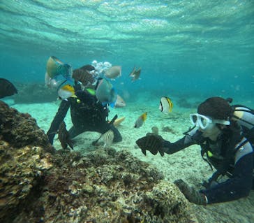 沖縄マリンサービス碧に投稿された画像（2025/1/25）