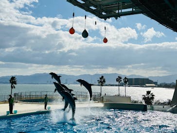 マリンワールド海の中道に投稿された画像（2025/1/25）