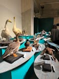 特別展「鳥 ～ゲノム解析が解き明かす新しい鳥類の系統～」国立科学博物館に投稿された画像（2025/1/25）
