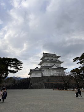 小田原城に投稿された画像（2025/1/25）