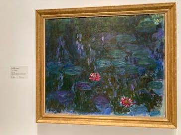 モネ 睡蓮のとき（国立西洋美術館）に投稿された画像（2025/1/25）