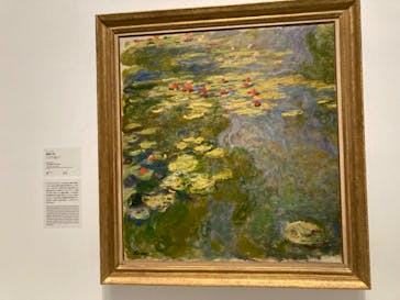 モネ 睡蓮のとき（国立西洋美術館）に投稿された画像（2025/1/25）