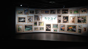 カワスイ 川崎⽔族館に投稿された画像（2025/1/25）