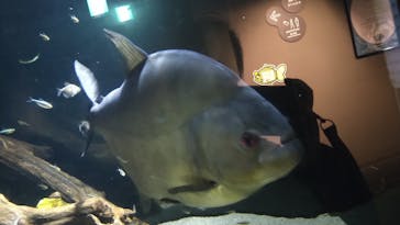 カワスイ 川崎⽔族館に投稿された画像（2025/1/25）