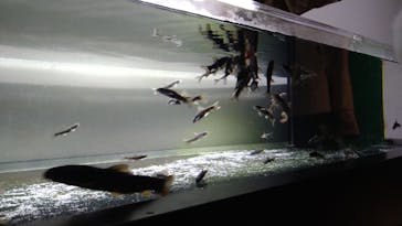 カワスイ 川崎⽔族館に投稿された画像（2025/1/25）