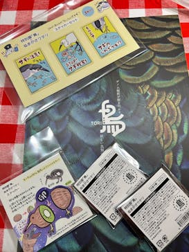 特別展「鳥 ～ゲノム解析が解き明かす新しい鳥類の系統～」国立科学博物館に投稿された画像（2025/1/25）