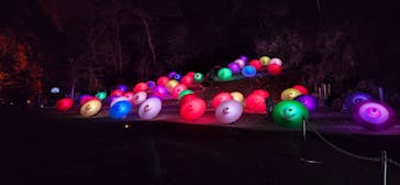 ぎふ灯り物語 ２０２６に投稿された画像（2025/1/25）